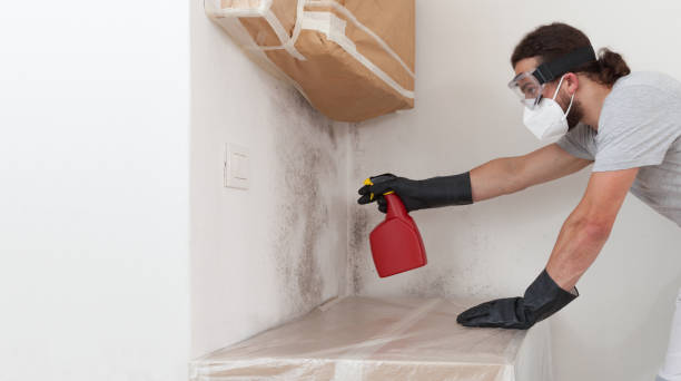 Professional Mold Testing technician working in Holbrook, NY
