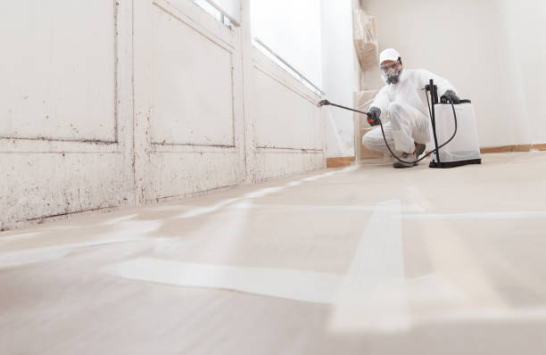24/7 Emergency Mold Testing experts in Holbrook, NY