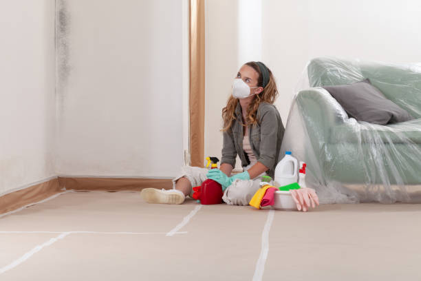 Reliable Mold Testing contractor in Holbrook, NY by WQB Mold Removal